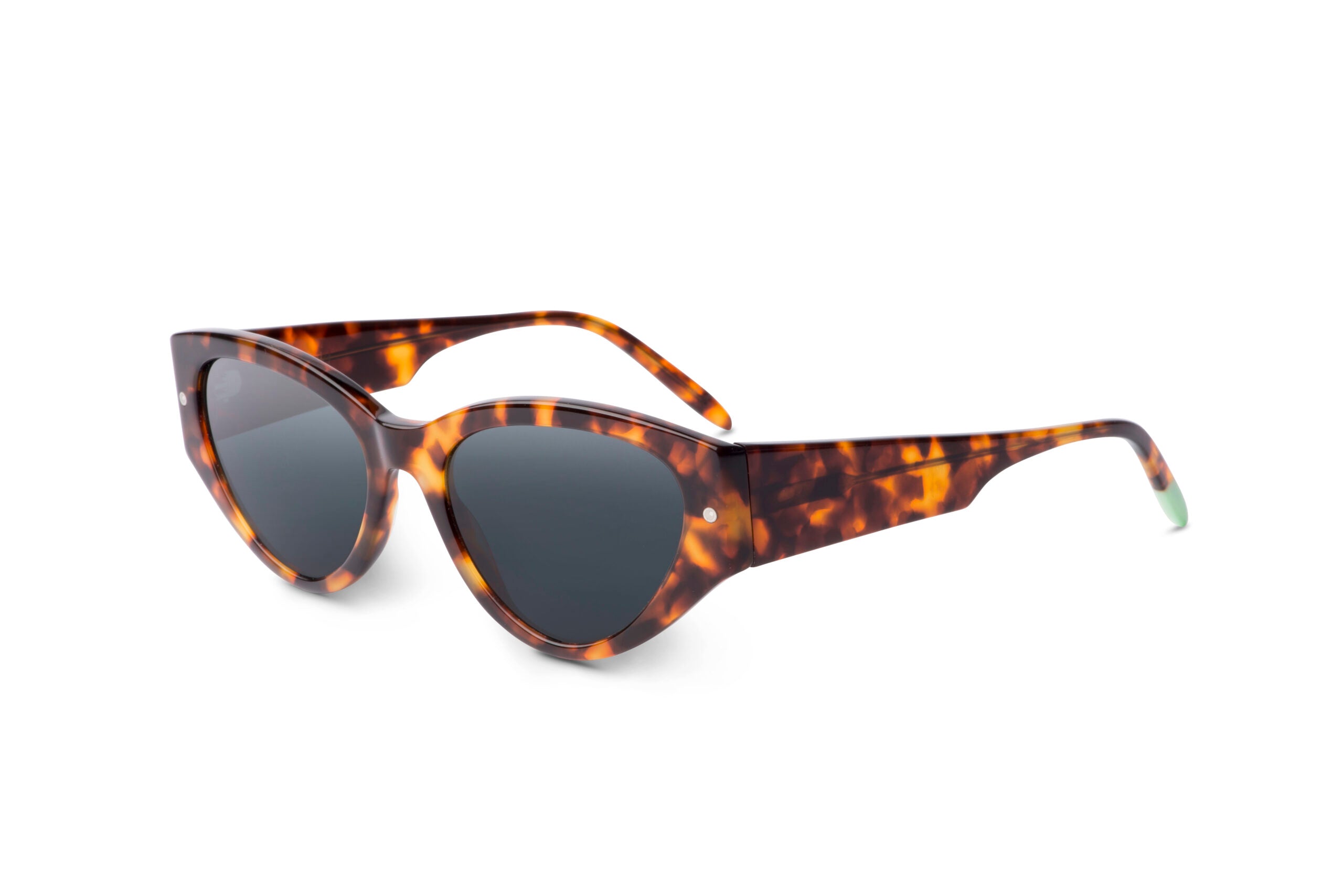 Otaaki: Scandola – Tortoise - SUN