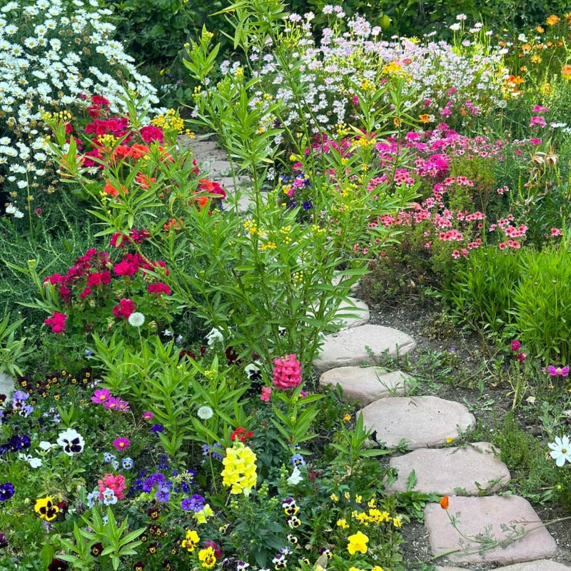 edible flower seed Eat Your Flowers: Edible Flower Seed Mix- 1 pack – Retold Recycling