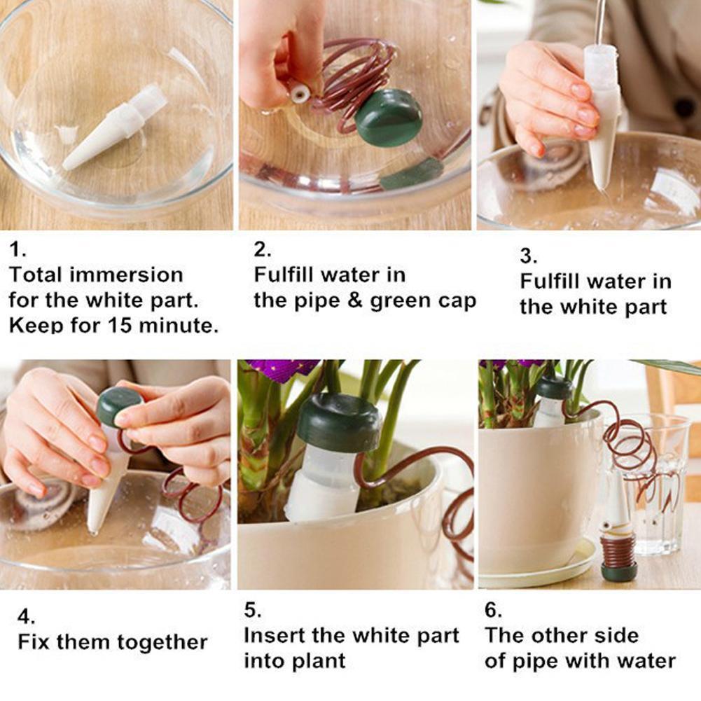 House Plant Shop: Automatic Plant Waterers