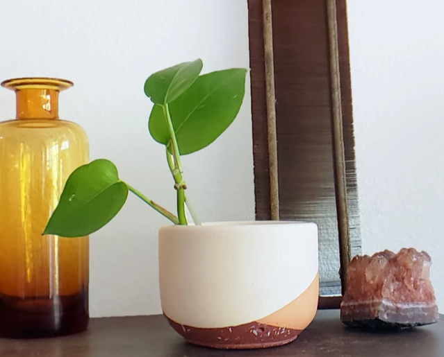 LuLu & Oliver: Signature Concrete Candle - Tulip (small) Handpainted Concrete Candle