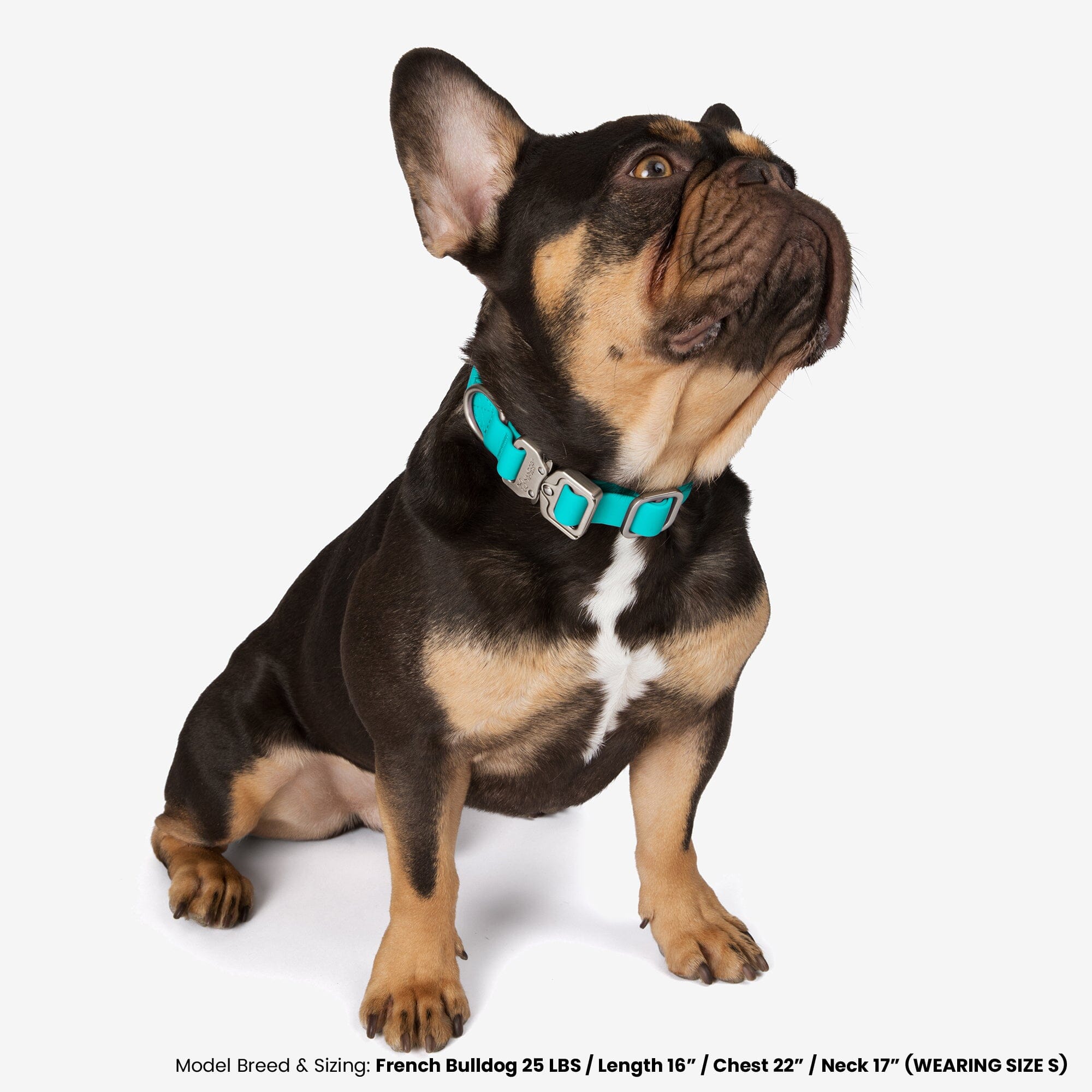 Nandog Pet Gear: Waterproof Poly-Flex Sport Dog Collar (Aqua Blue)